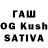 Галлюциногенные грибы Cubensis Aset Kasimov