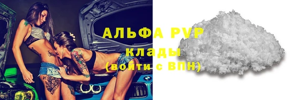 индика Пролетарск