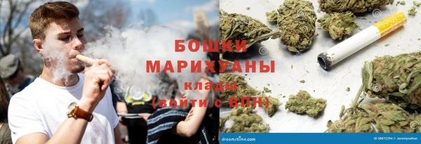 индика Пролетарск