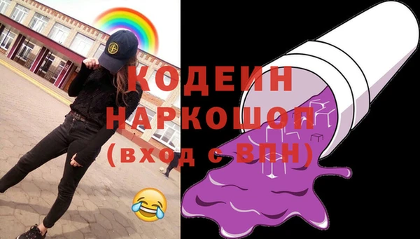 индика Пролетарск