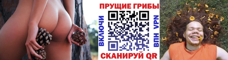 Псилоцибиновые грибы прущие грибы  Купить закладки  Теберда 