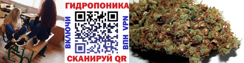 Канабис SATIVA & INDICA  Купить где  Теберда 